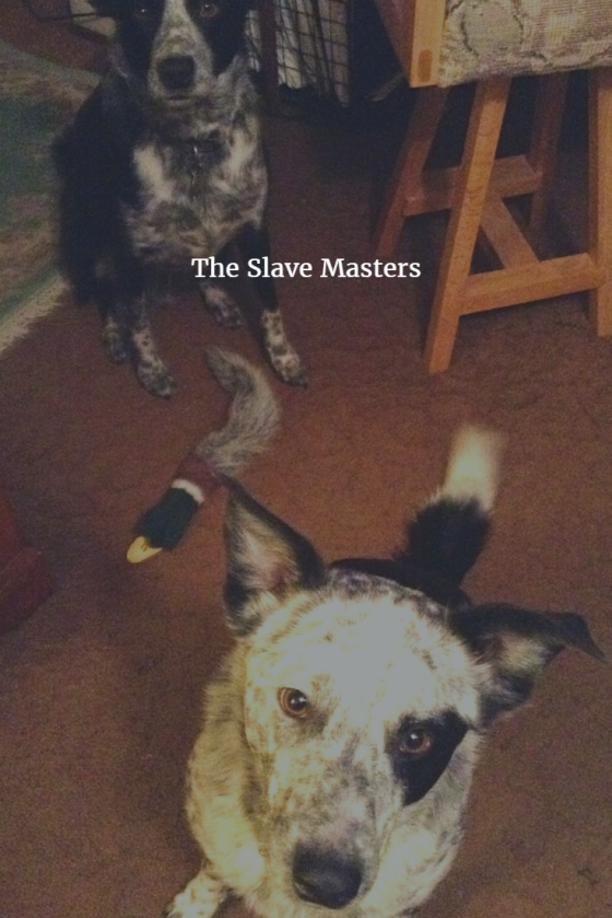 JJ and Benny Slave Masters